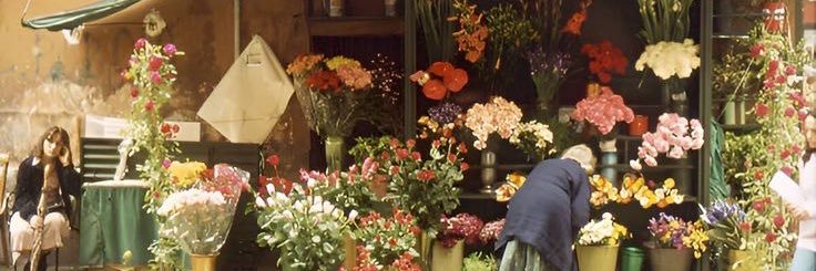 elif banner