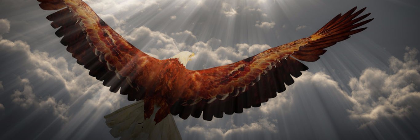 Dead_skipper's profile banner image