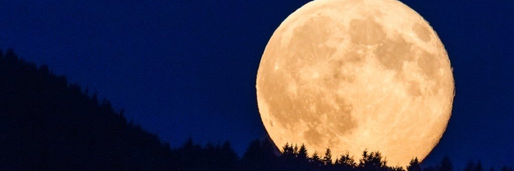 JadeyLucker's profile banner image
