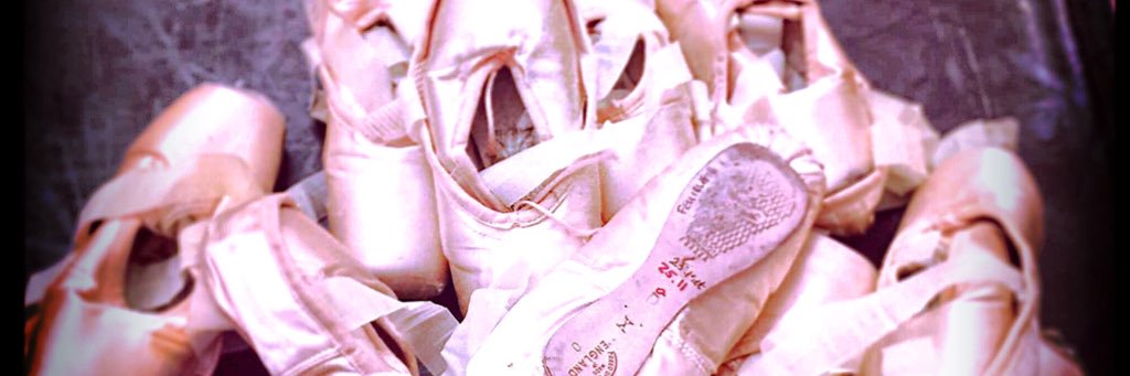 Vanessa Feuillatte banner