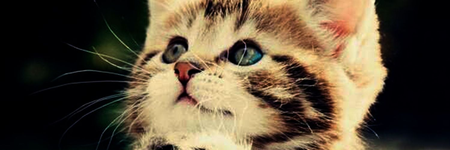NicoFTS's profile banner image