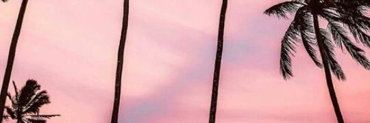 WafaAlliyah's profile banner image