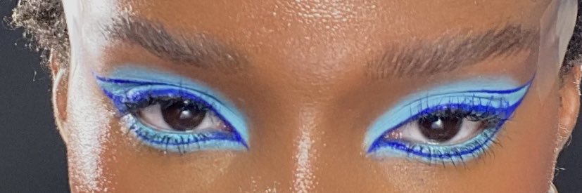 iron princess banner