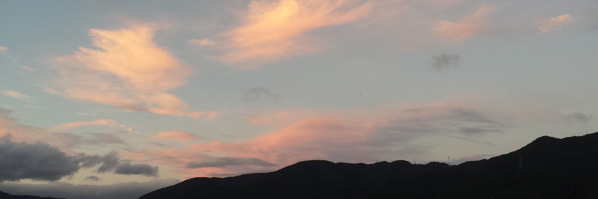 apothedog's profile banner image