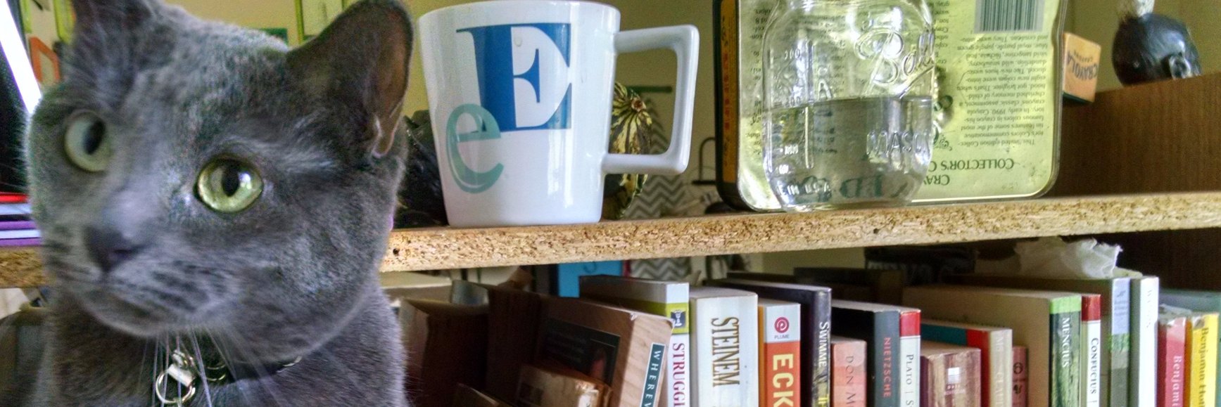 NotAnotherLib's profile banner image