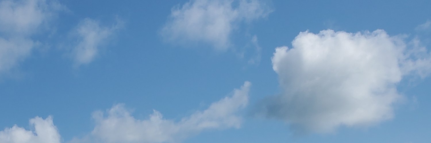 hollyvanreenen's profile banner image