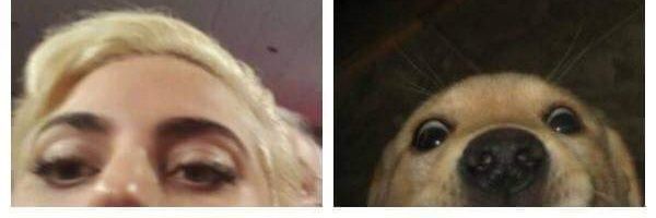 xmgiov Profile Banner