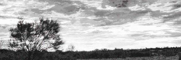 hobowise's profile banner image