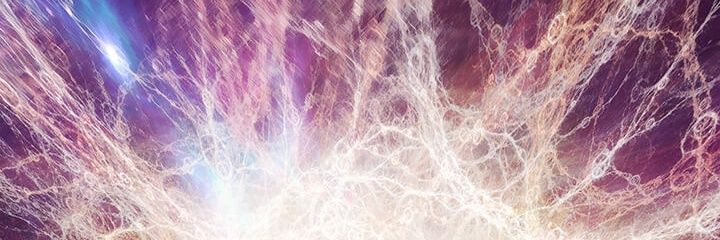 Lauren Mitchell banner