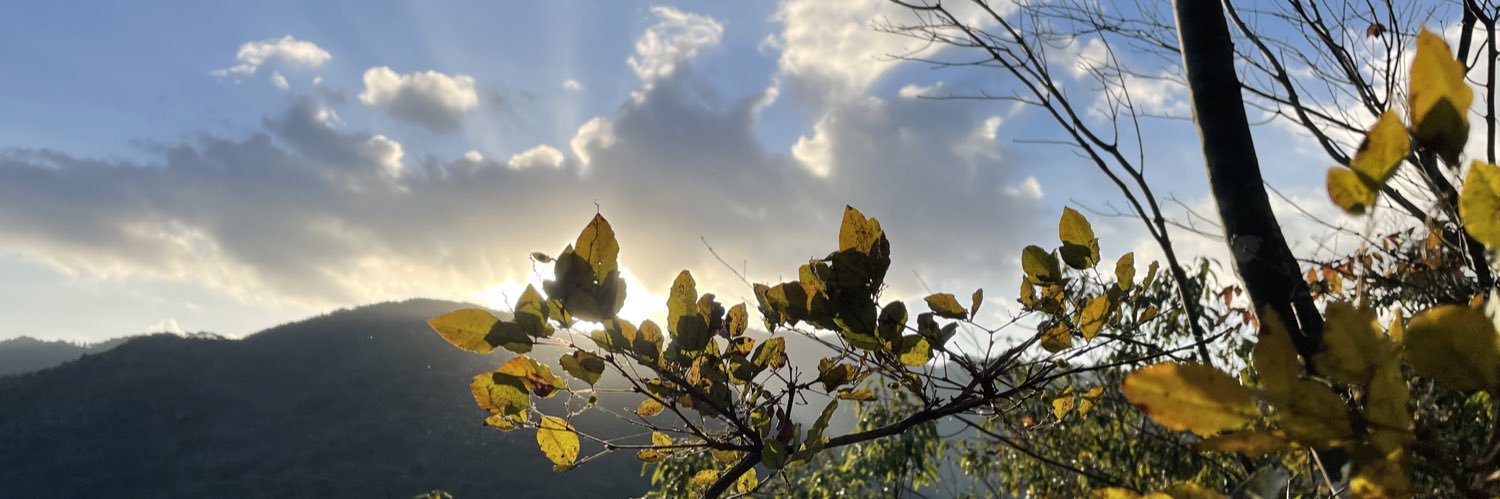 プラナリア banner