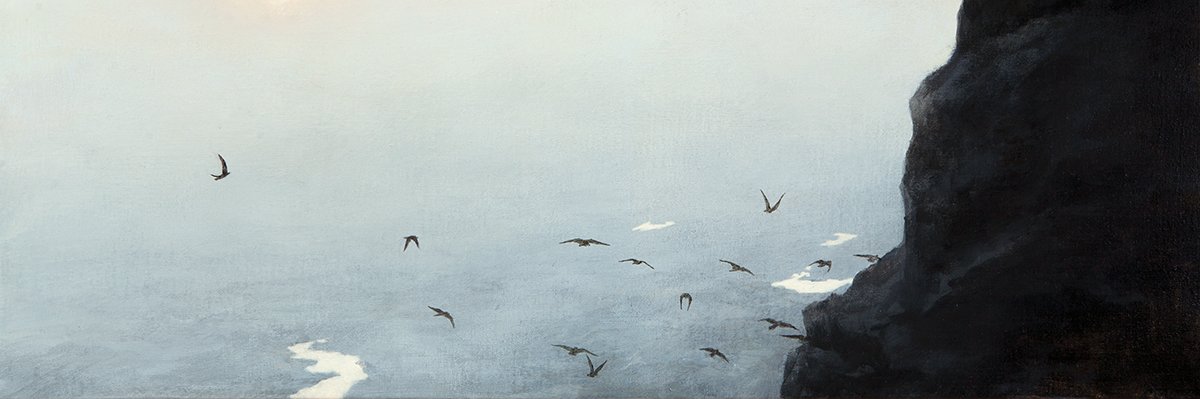 _dowlingwalsh's profile banner image