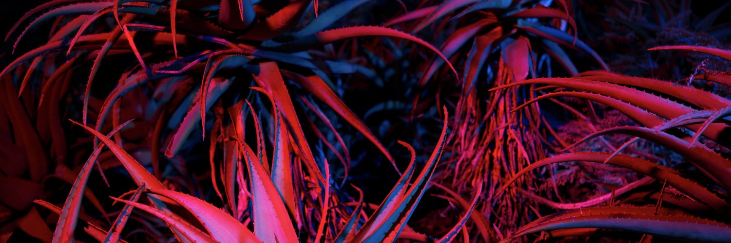 eowesley's profile banner image