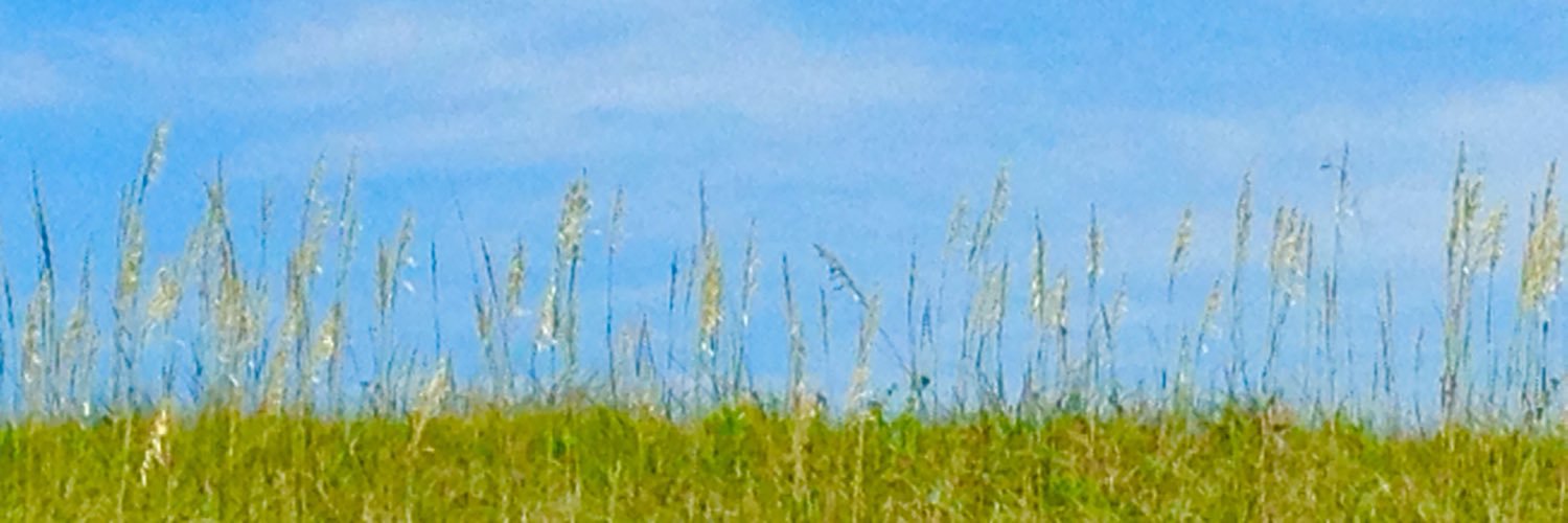 SeeSmittyRead's profile banner image