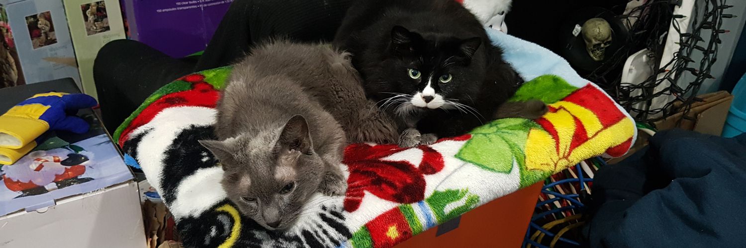 PProph - Stop the Genocide banner