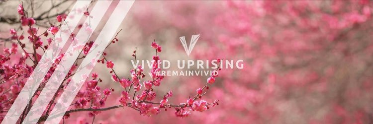 VividPerplex's profile banner image