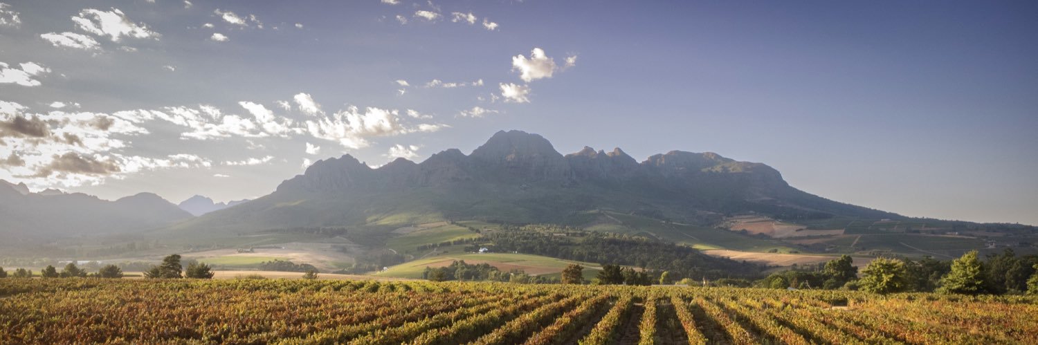 Stellenrust Wines banner