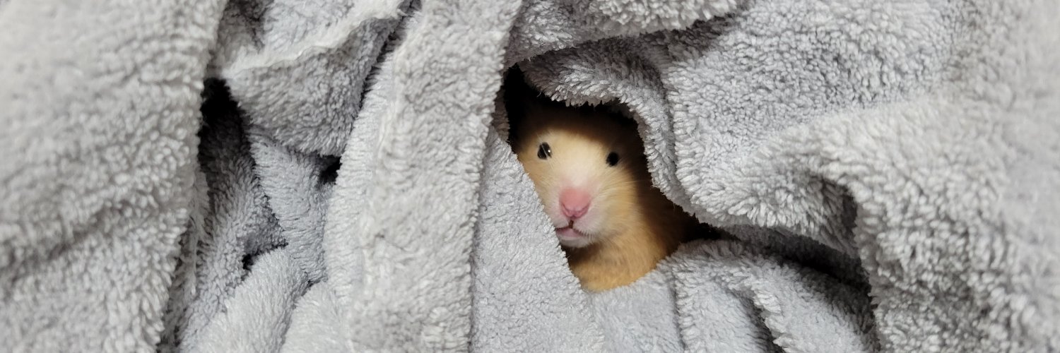 capybaradarake's profile banner image