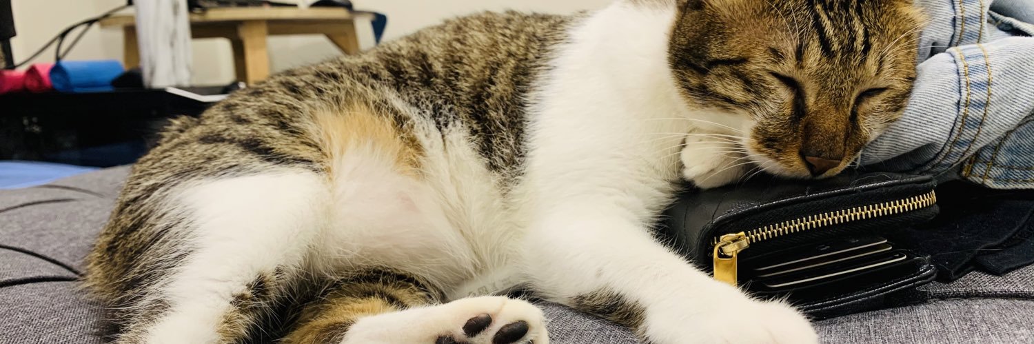 meimei930's profile banner image