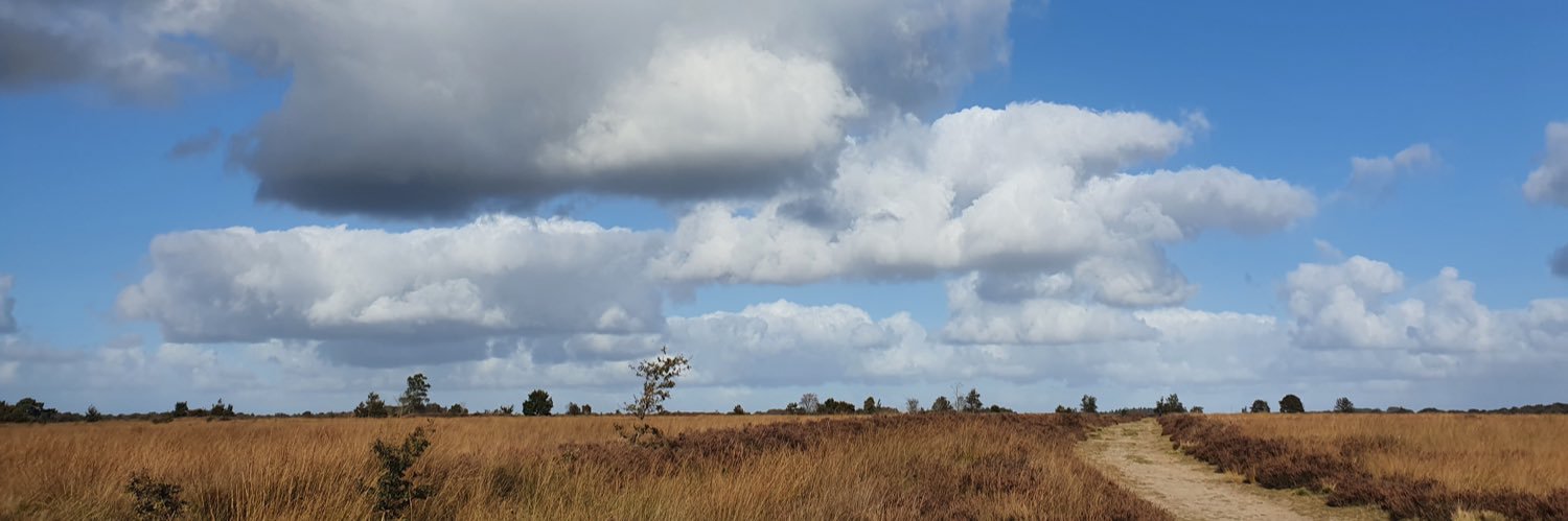 roos_vries's profile banner image
