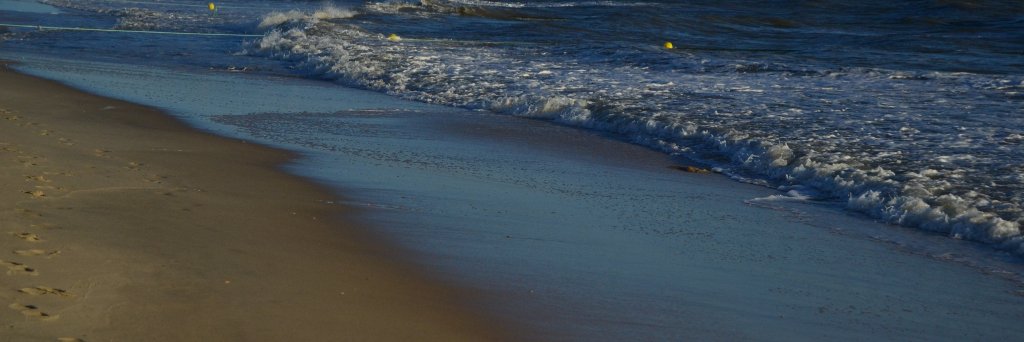 Ana MG banner