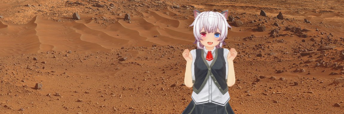 ツァ猫ブラックきゃっと（CMDR陸戦） banner