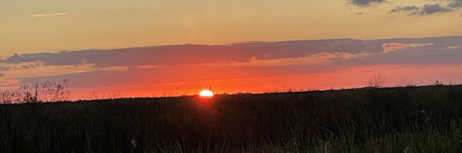 carosol73's profile banner image