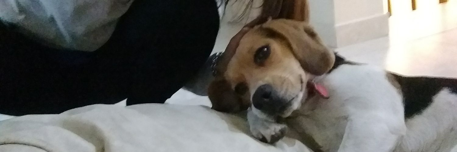 catalinazanni's profile banner image