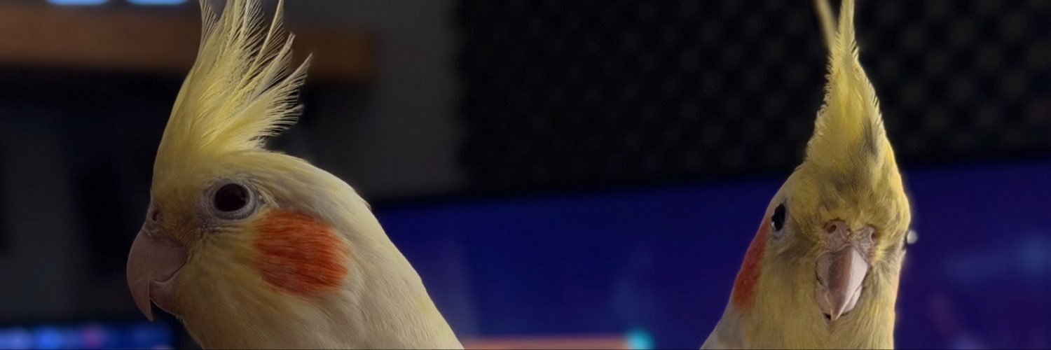 KayroLurex's profile banner image
