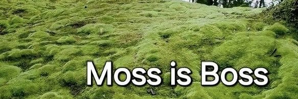 BourgeoisGreen's profile banner image
