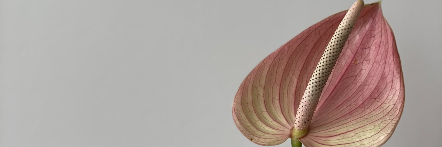 Mariam_AlOBD's profile banner image