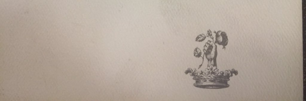 Pulp Punk Book Club banner