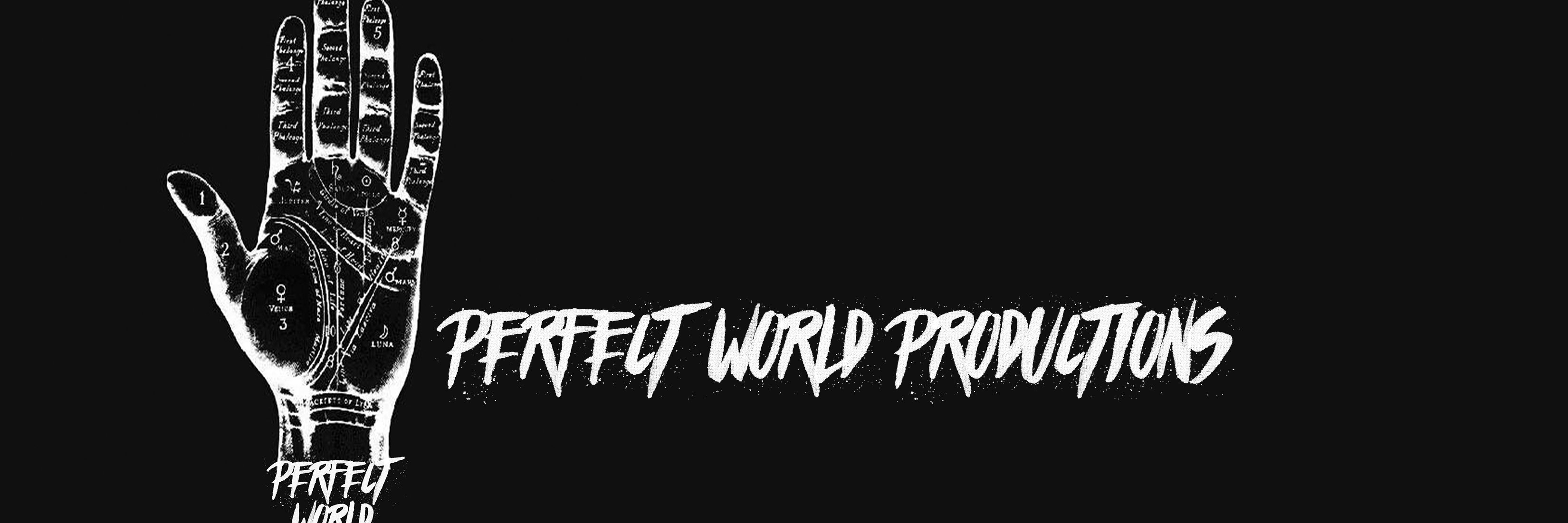 Perfect World banner