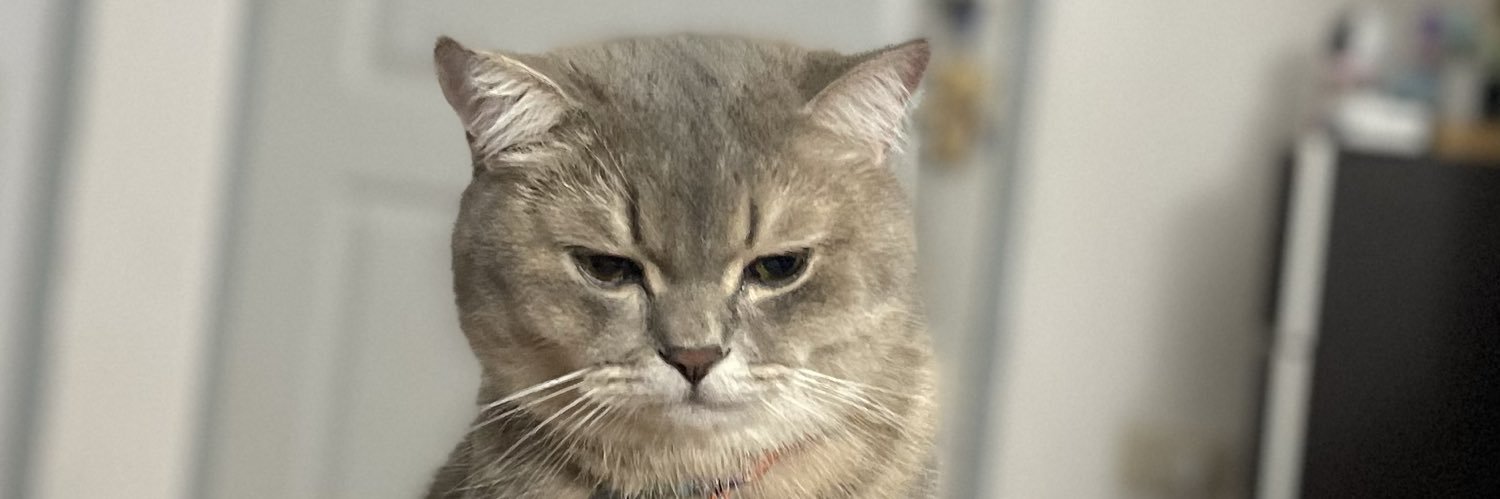 sucha_16's profile banner image