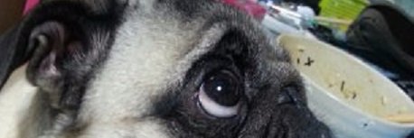 comeee56's profile banner image