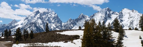 Interior Profile Banner