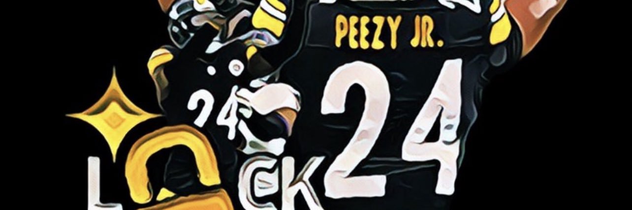 STEELERS KINGS OF THE NORTH👑 banner