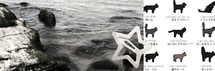 𝖲𝗂𝗀𝗇𝗈𝗋𝗂𝗇𝖺, 𝖹𝗂𝗏𝖾𝗒. banner