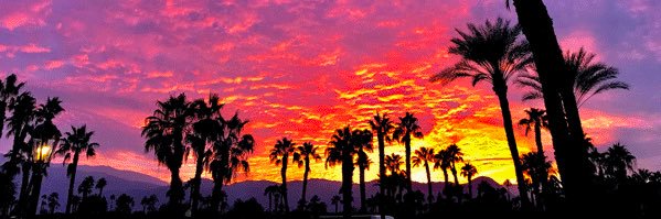daniellee_21's profile banner image