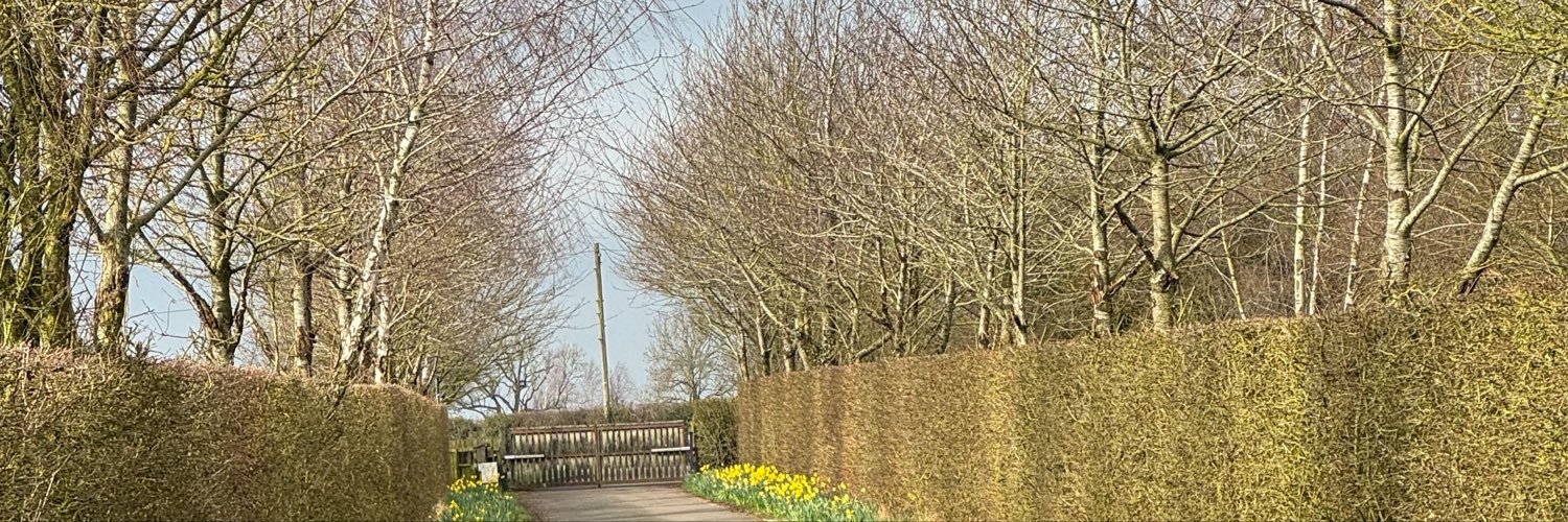 ThomasMFinch's profile banner image