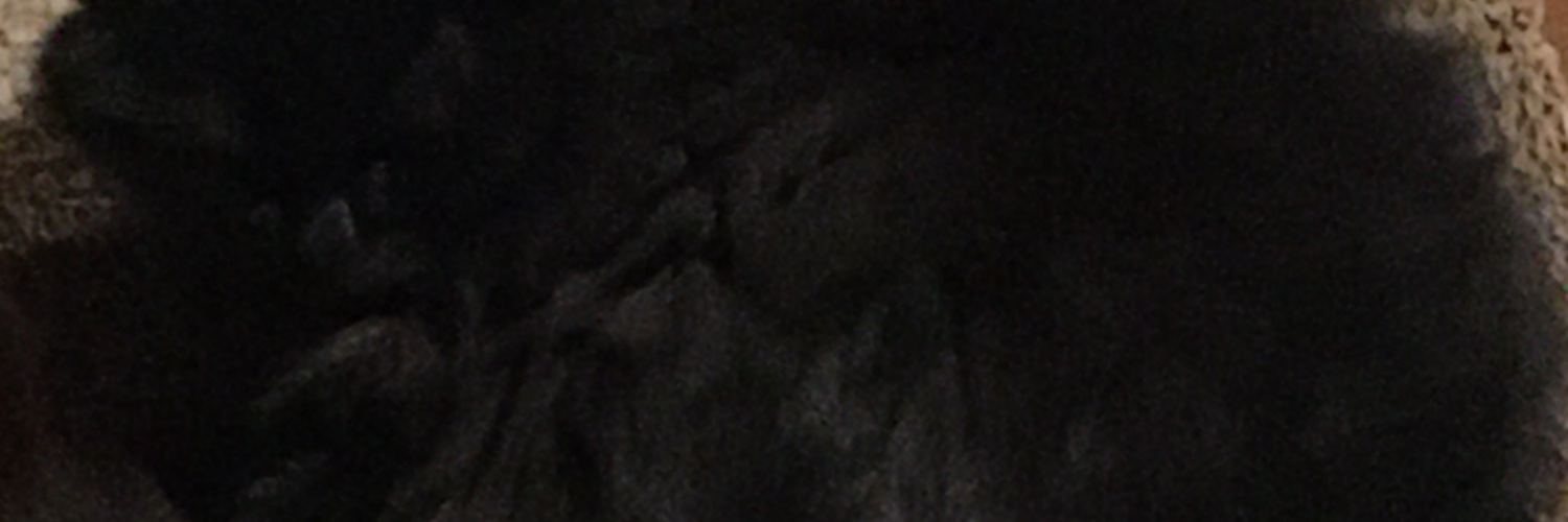 slskelton's profile banner image