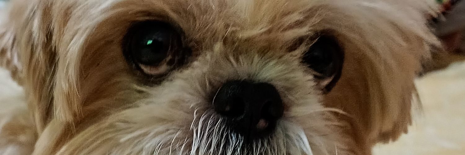 estherlp67's profile banner image