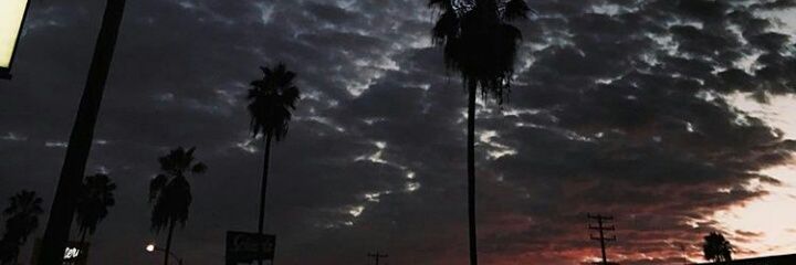 lisa_stir's profile banner image
