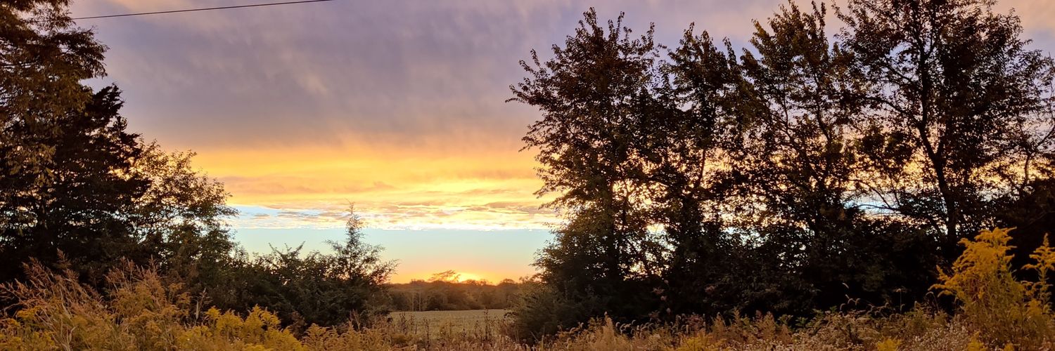 LisaDuncan88's profile banner image