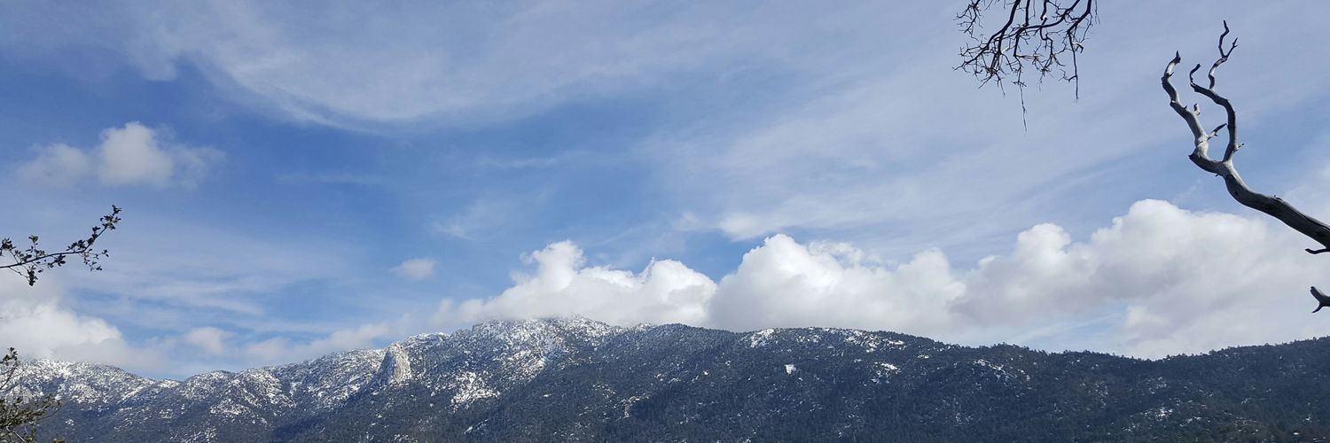 Mindy Shacklett banner