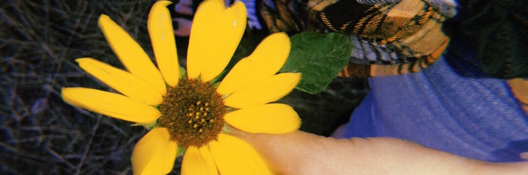 tymsversion's profile banner image