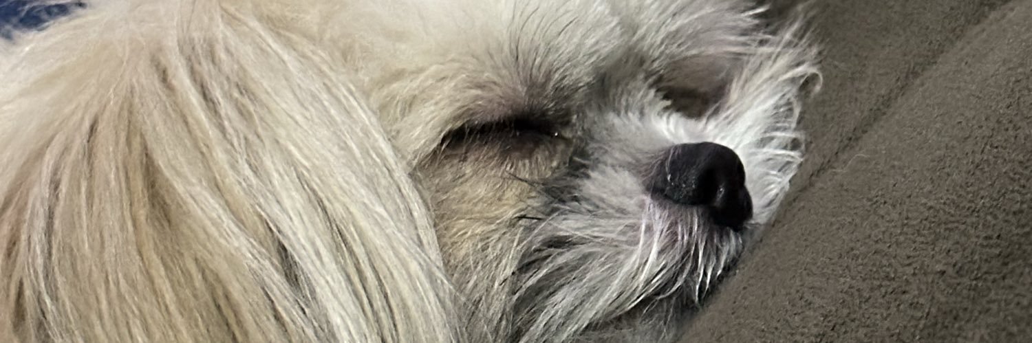 JFreitasi's profile banner image