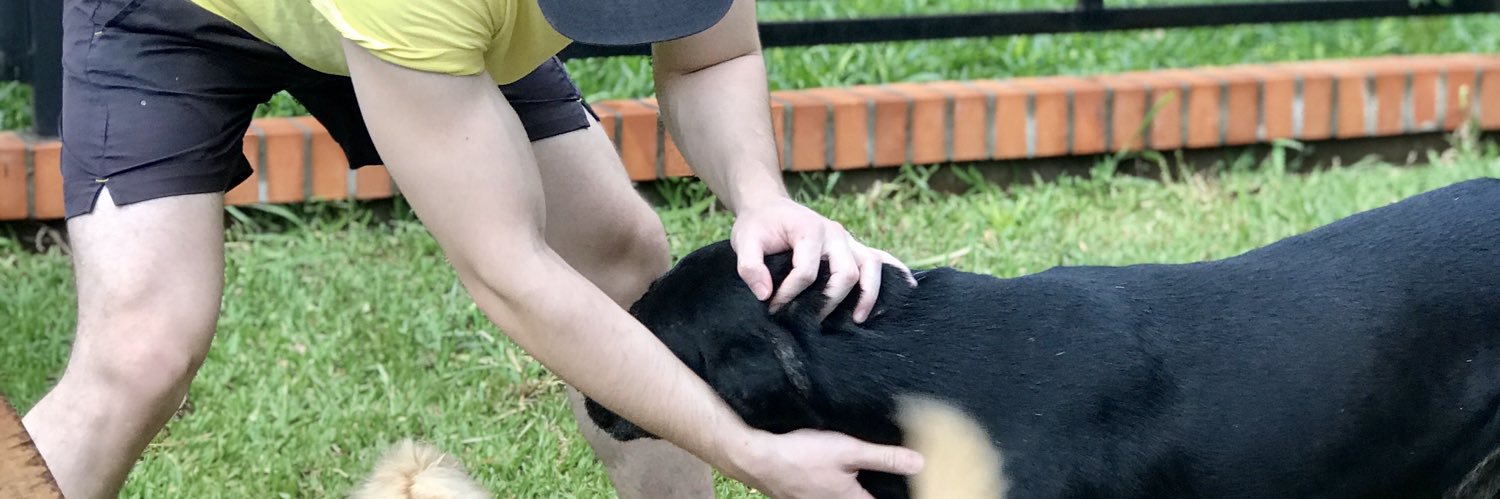 GuiGonzalezG's profile banner image