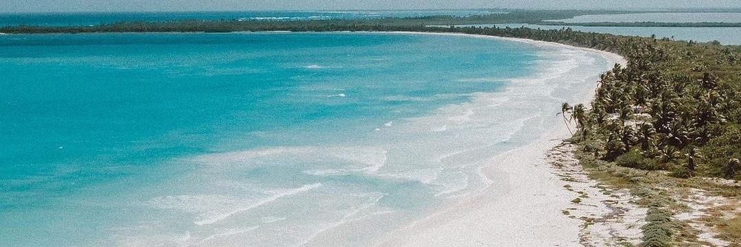 cami_barattini's profile banner image