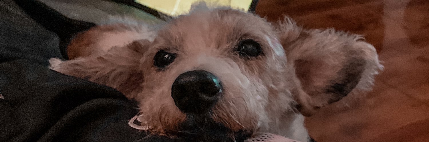 yurysilva55's profile banner image