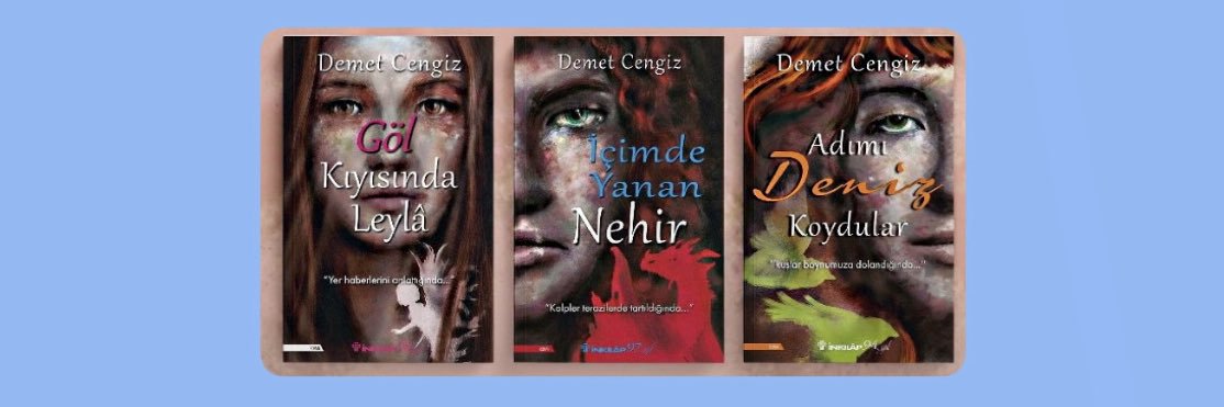 Demet Cengiz banner